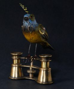 Small Bird on Binoculars