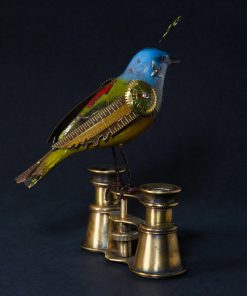 Small Bird on Binoculars