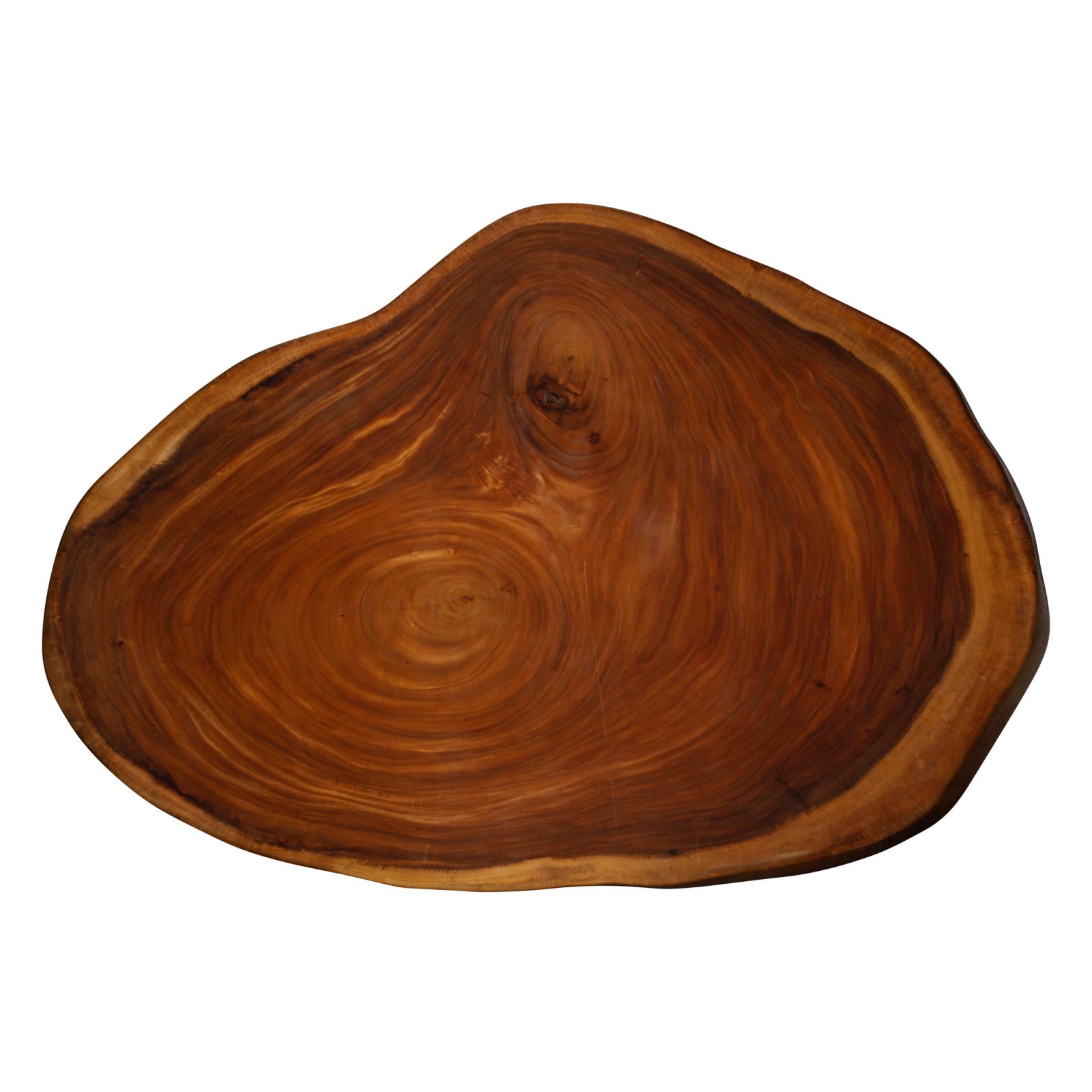 Saman Natural Wood Art - R15