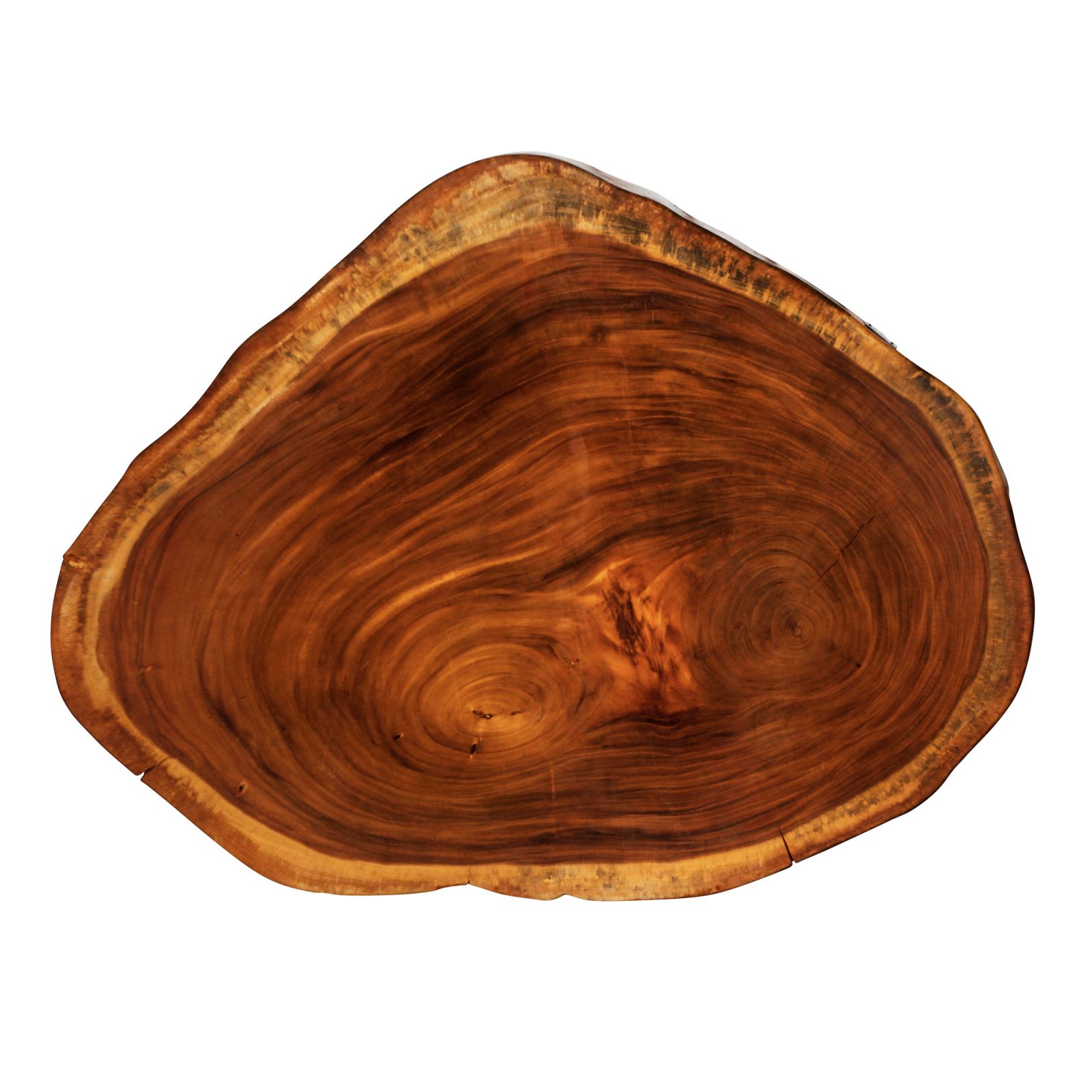 Saman Natural Wood Art - R20