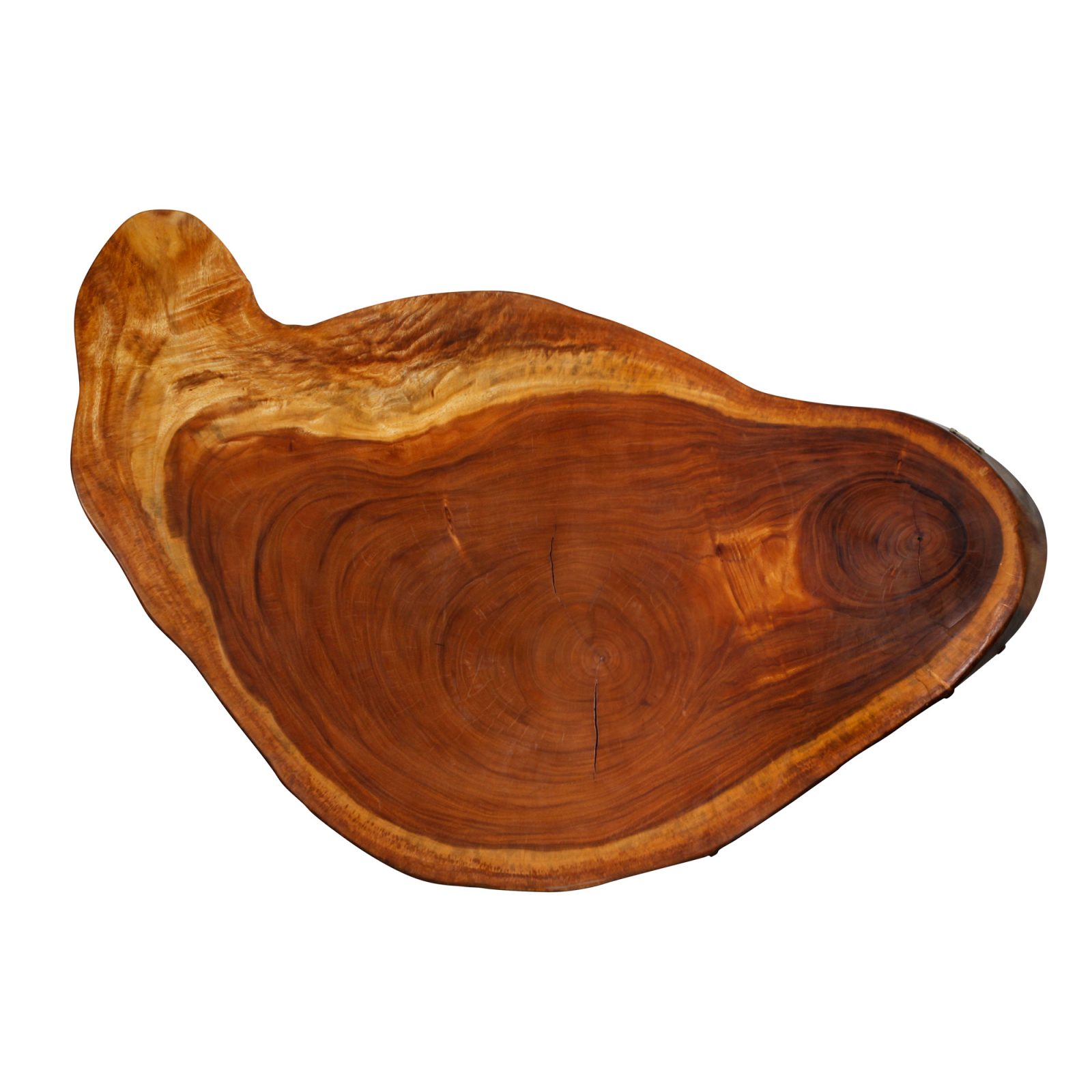 Saman Natural Wood Art - R24