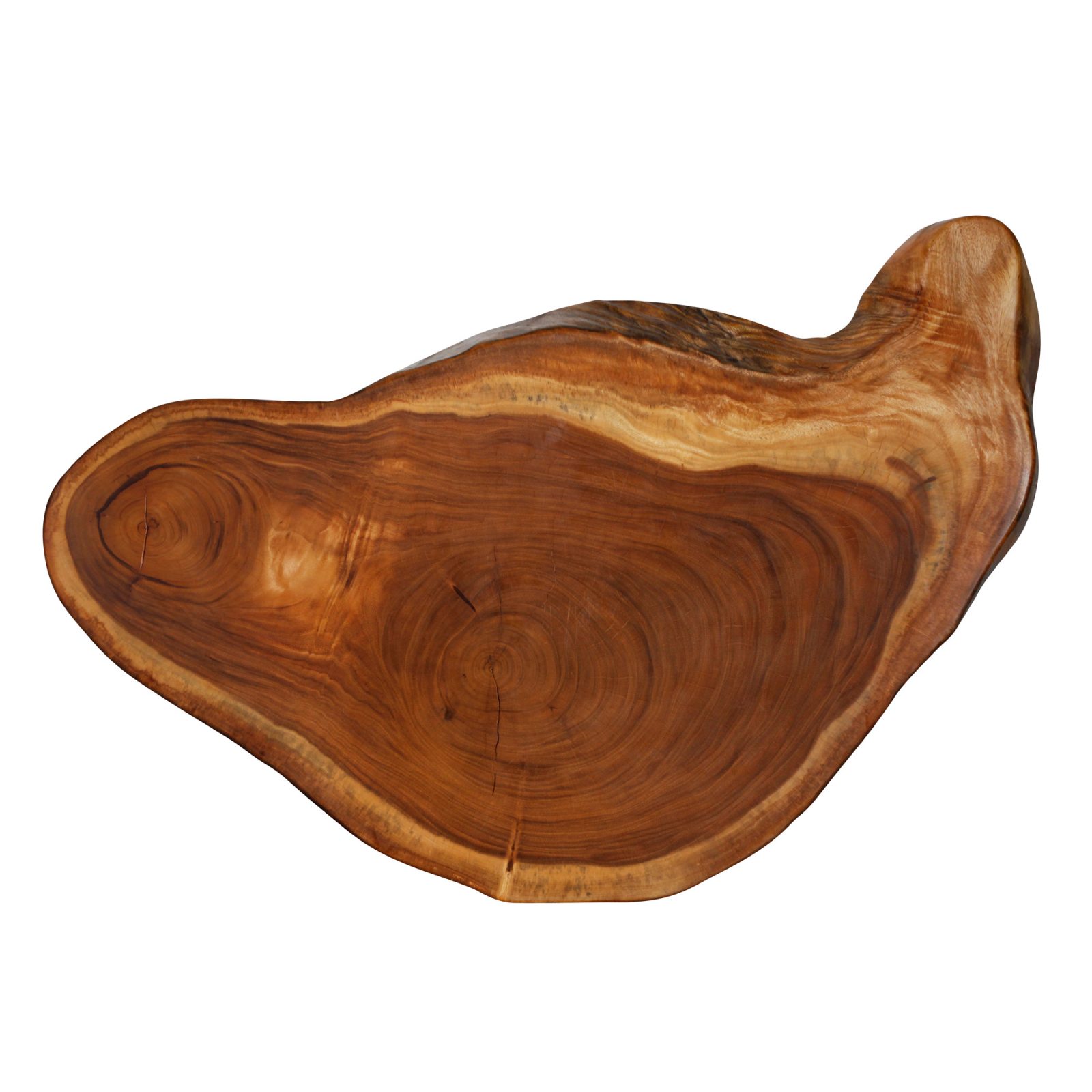 Saman Natural Wood Art - R24