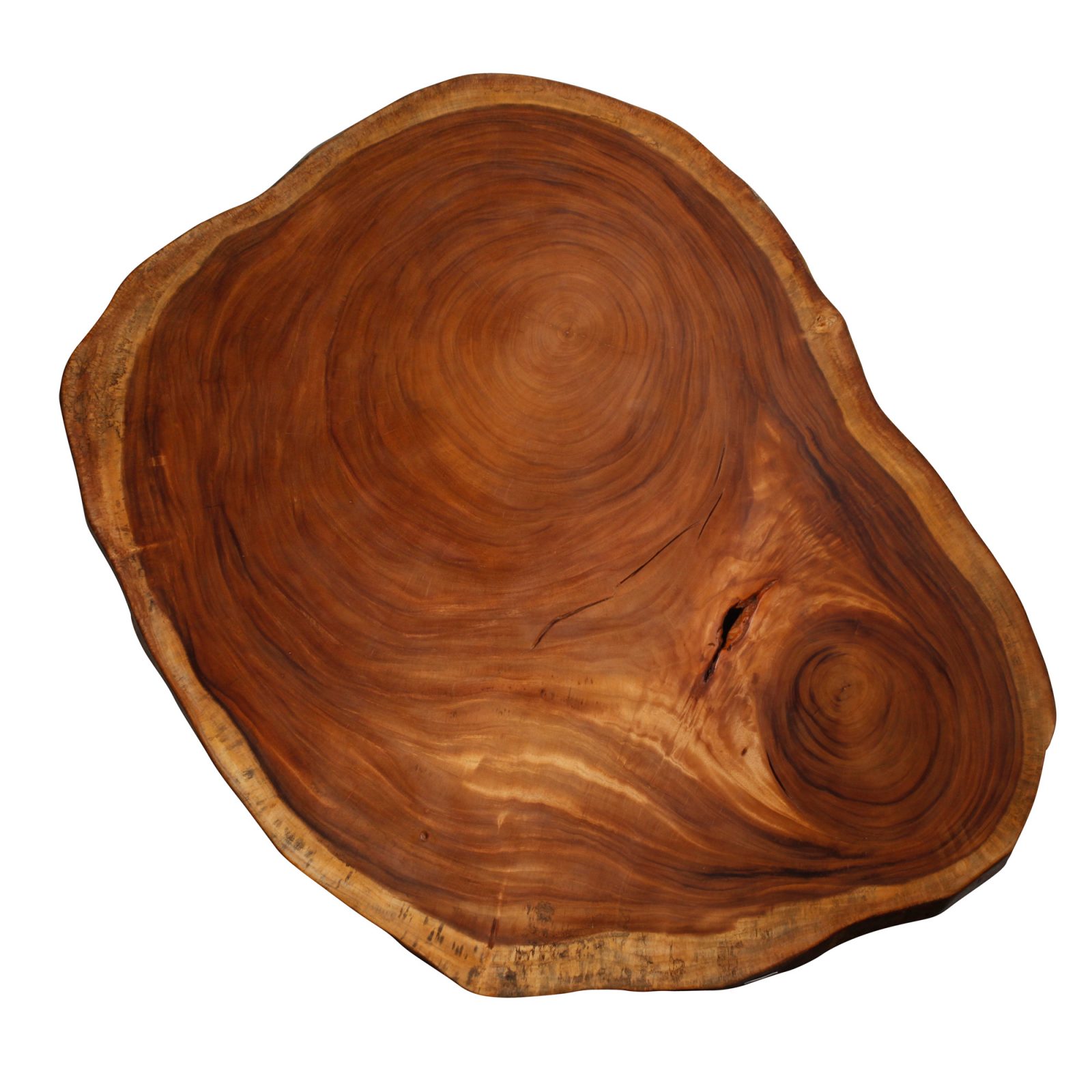 Saman Natural Wood Art - R2