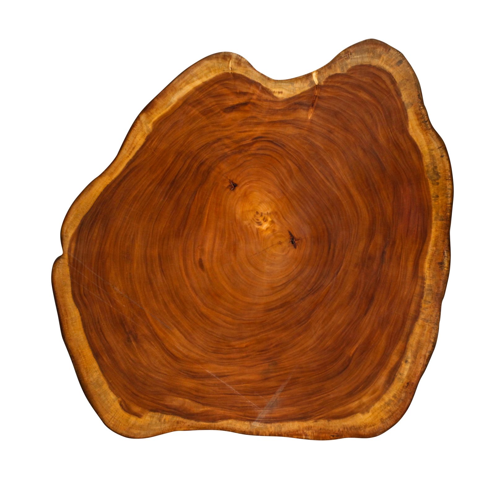 Saman Natural Wood Art - R3