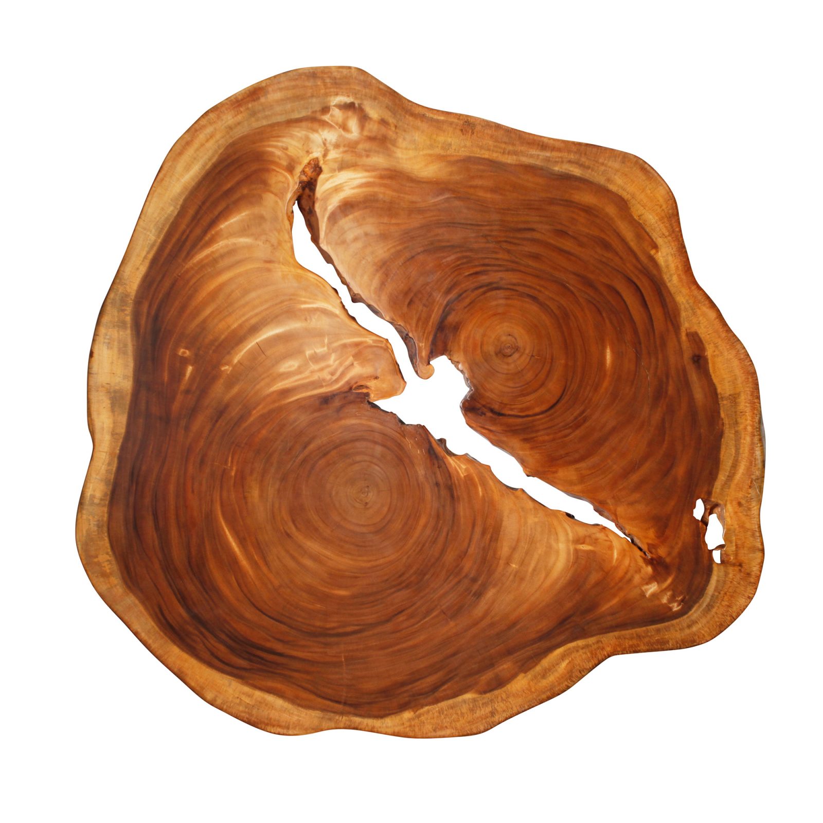 Saman Natural Wood Art - RG8