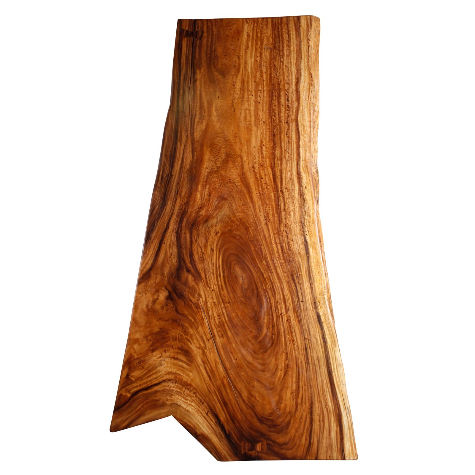 Saman Natural Wood Art - TG5