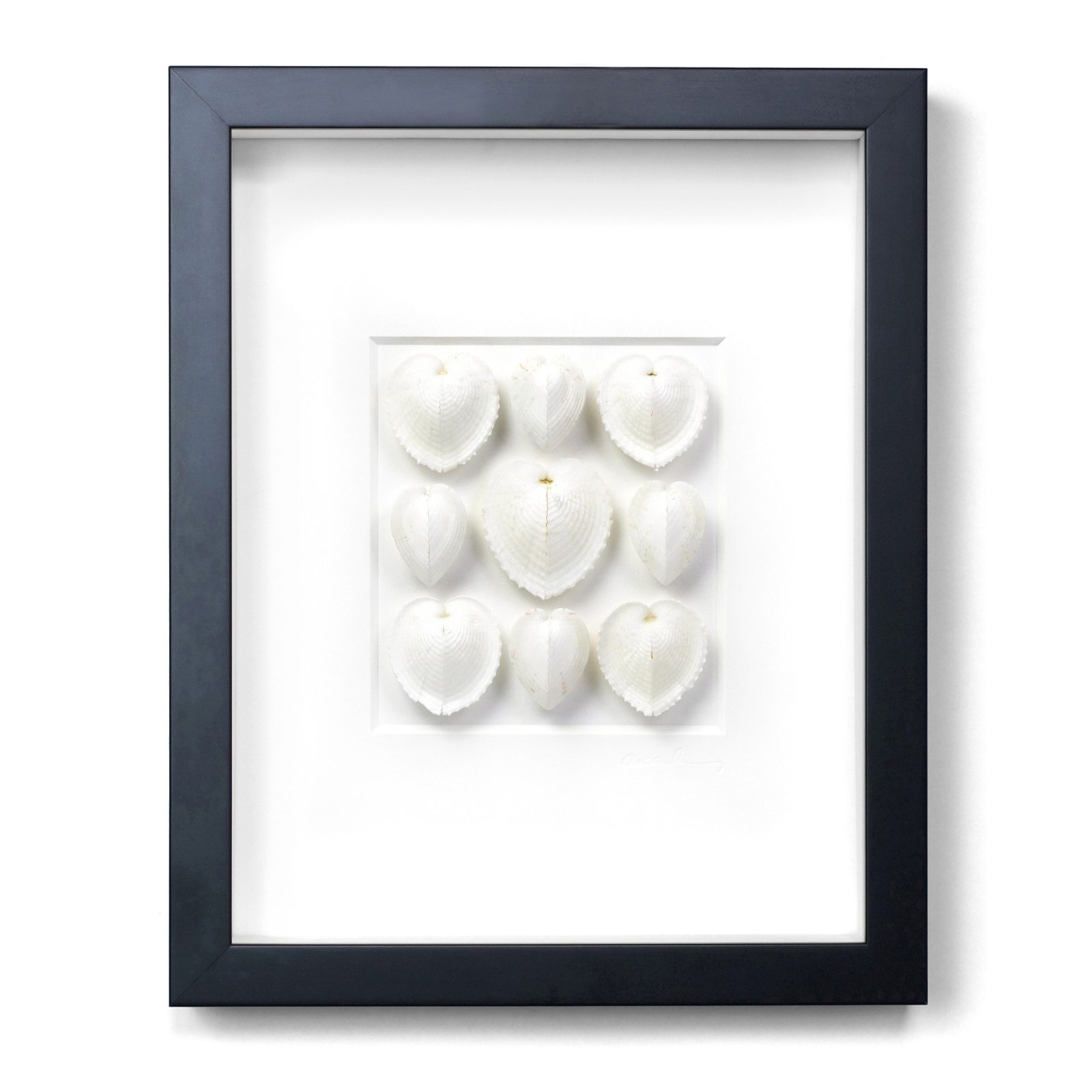 11x14 White Sea Hearts