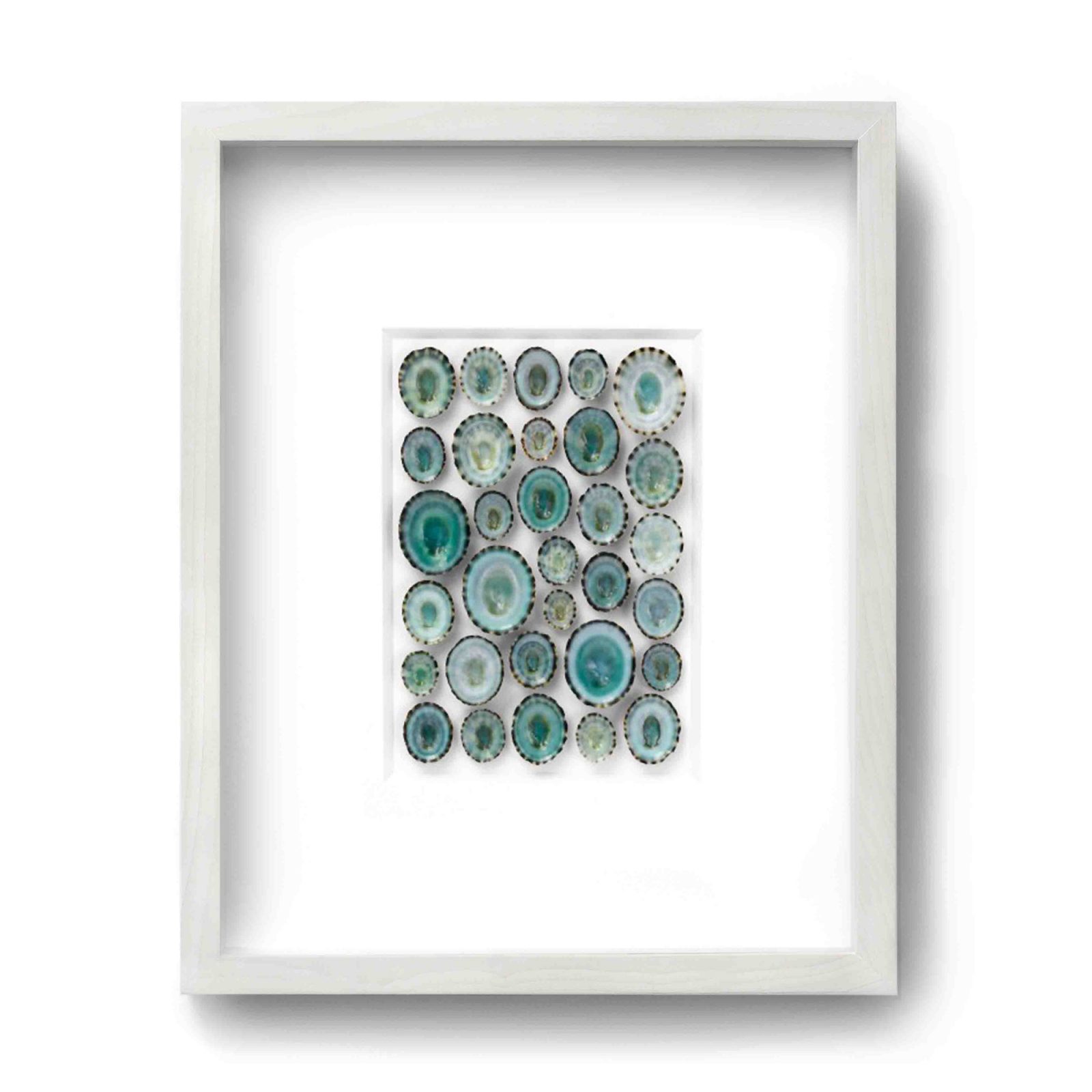 16x20 Aqua Limpet Mosaic