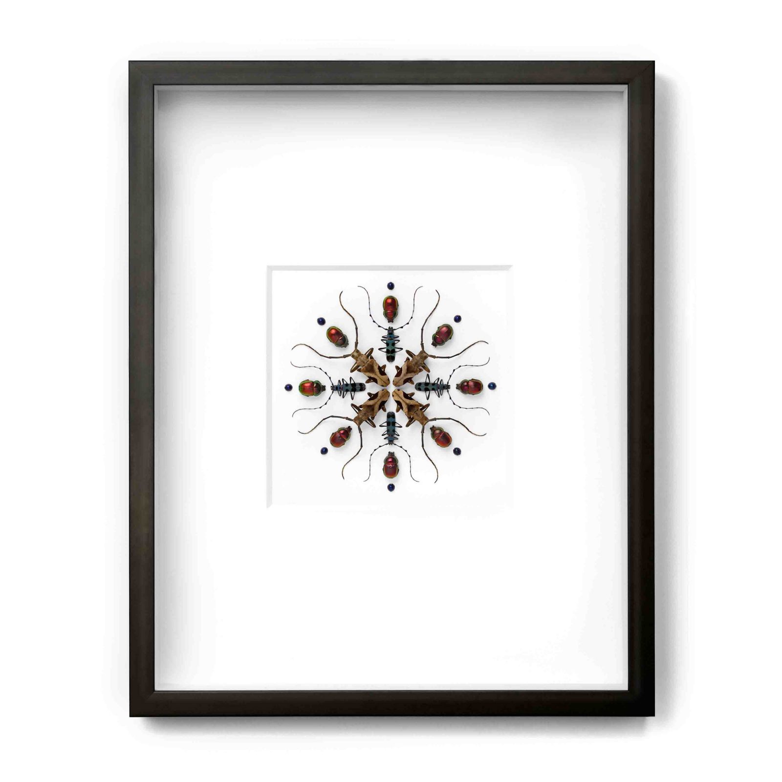 16x20 Crucifera Prism