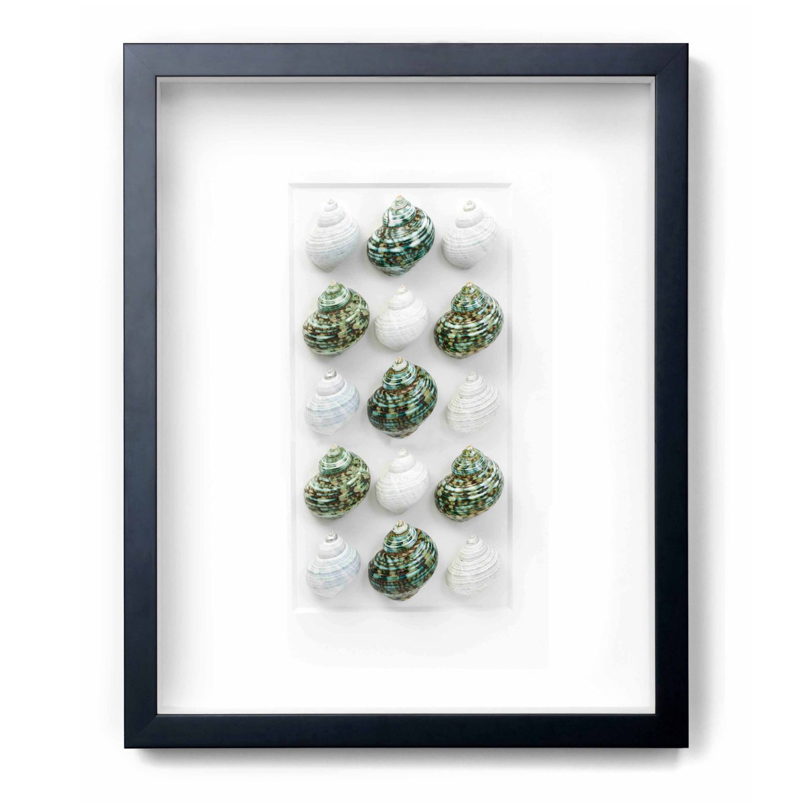 16x20 Jade Turbos