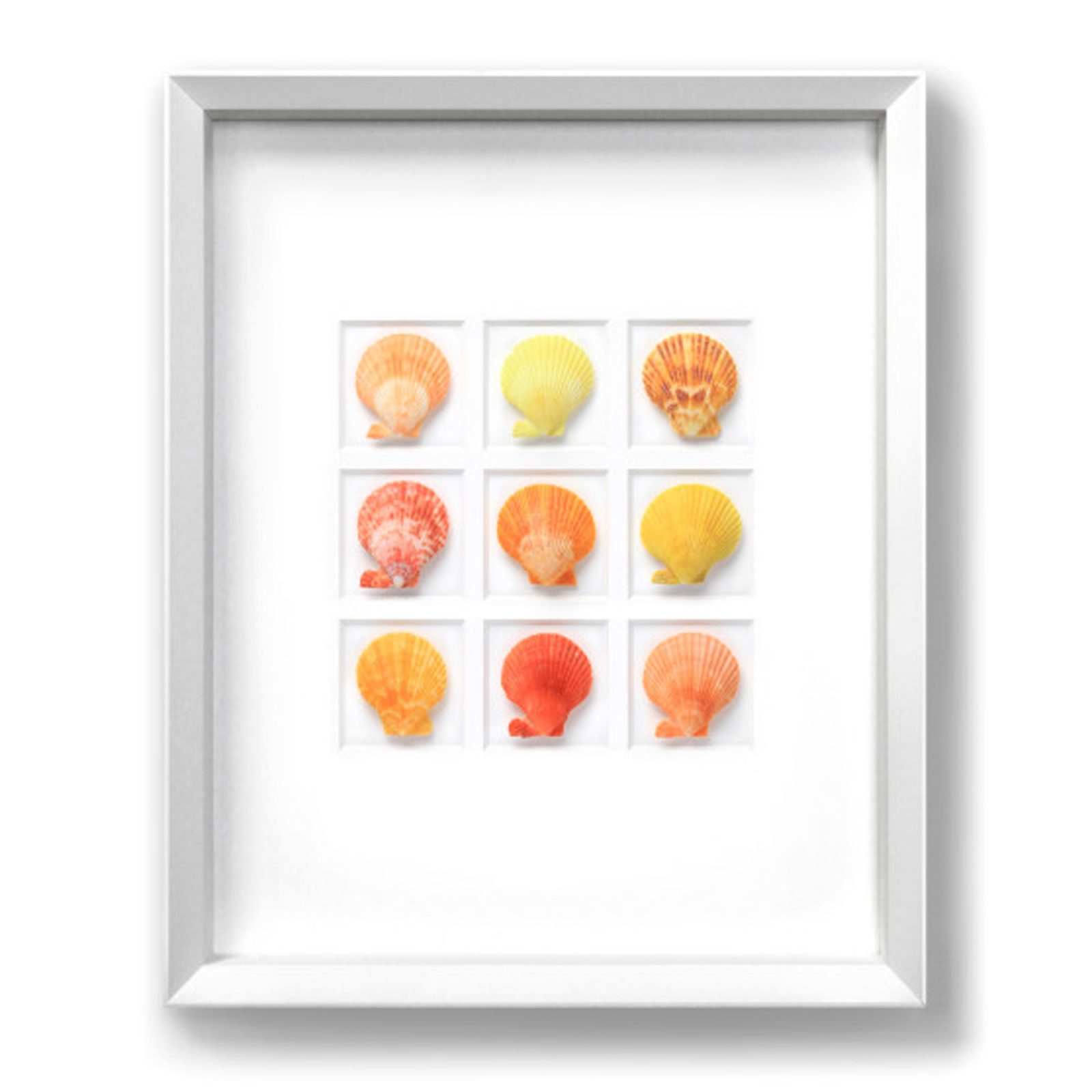 16x20 Noble Scallops - Citrus -