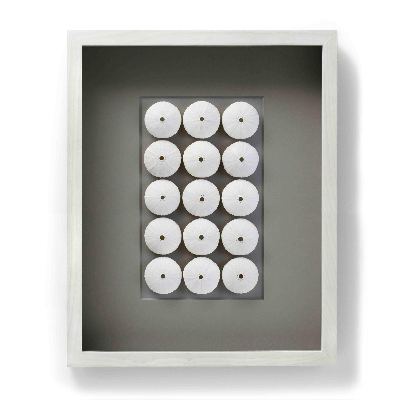 16 x 20 White Urchin Spheres