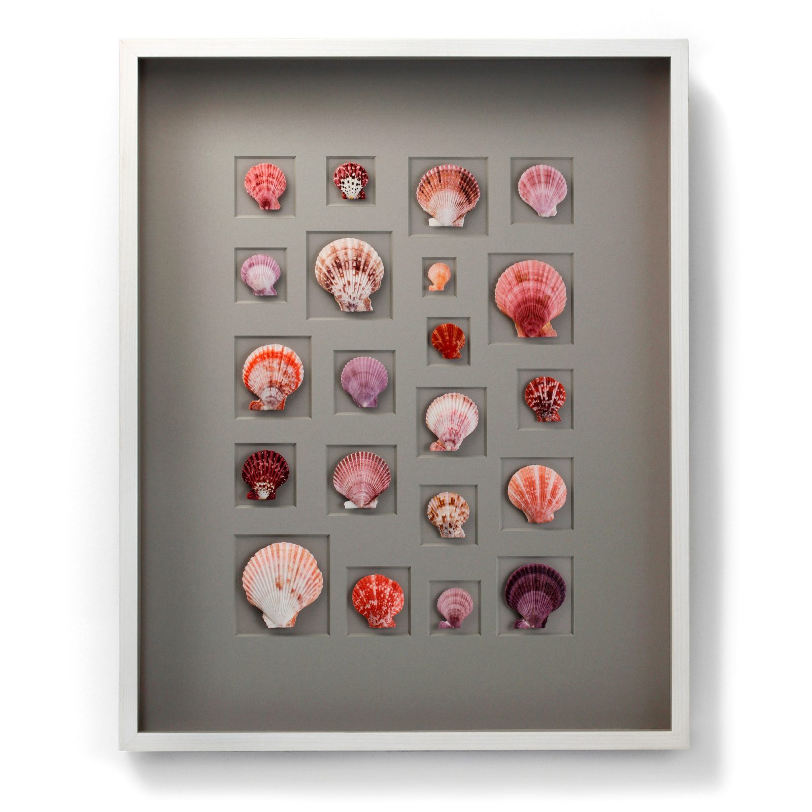 24x30 Select Scallop Mosaic (Berry)