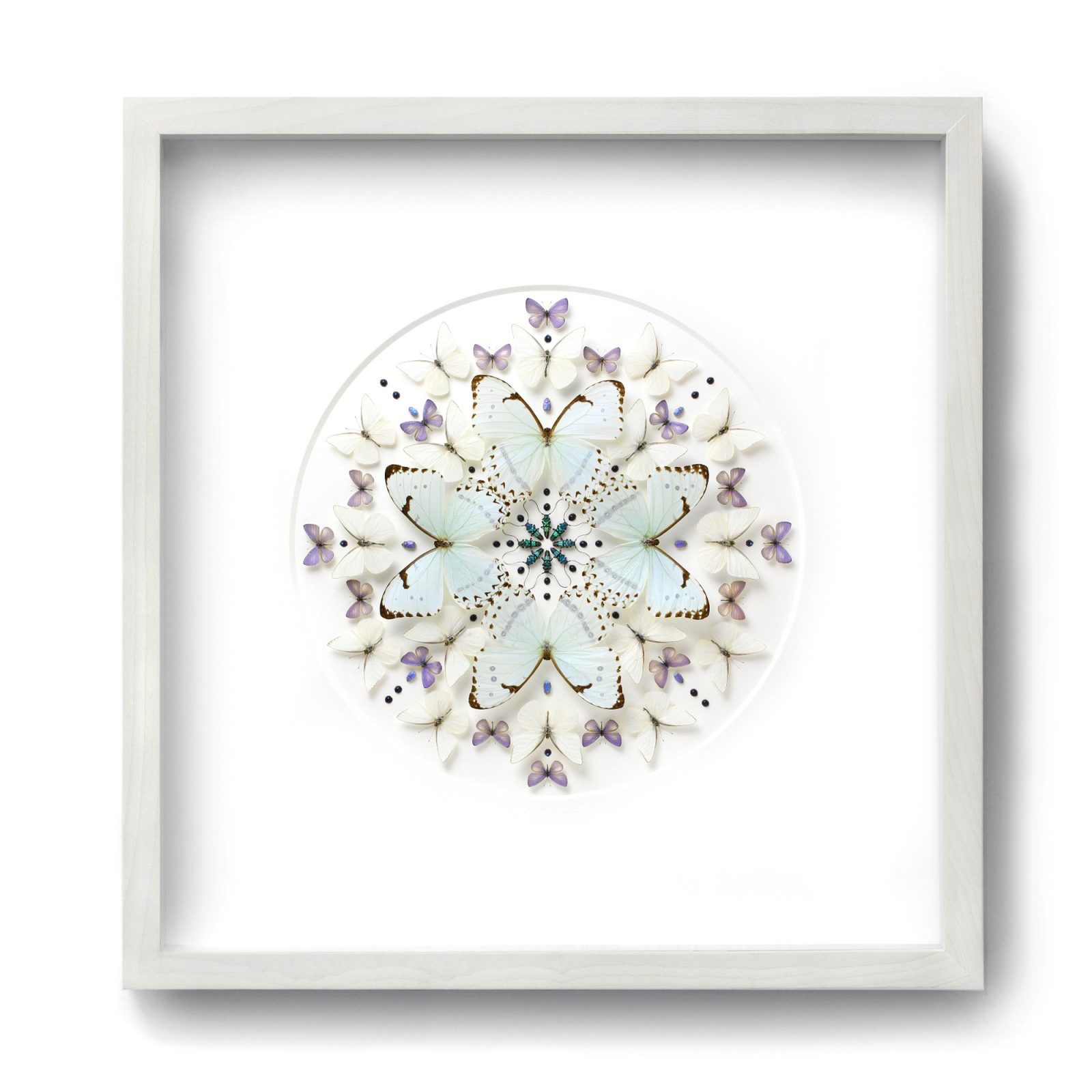 26x26 Catenarius Prism