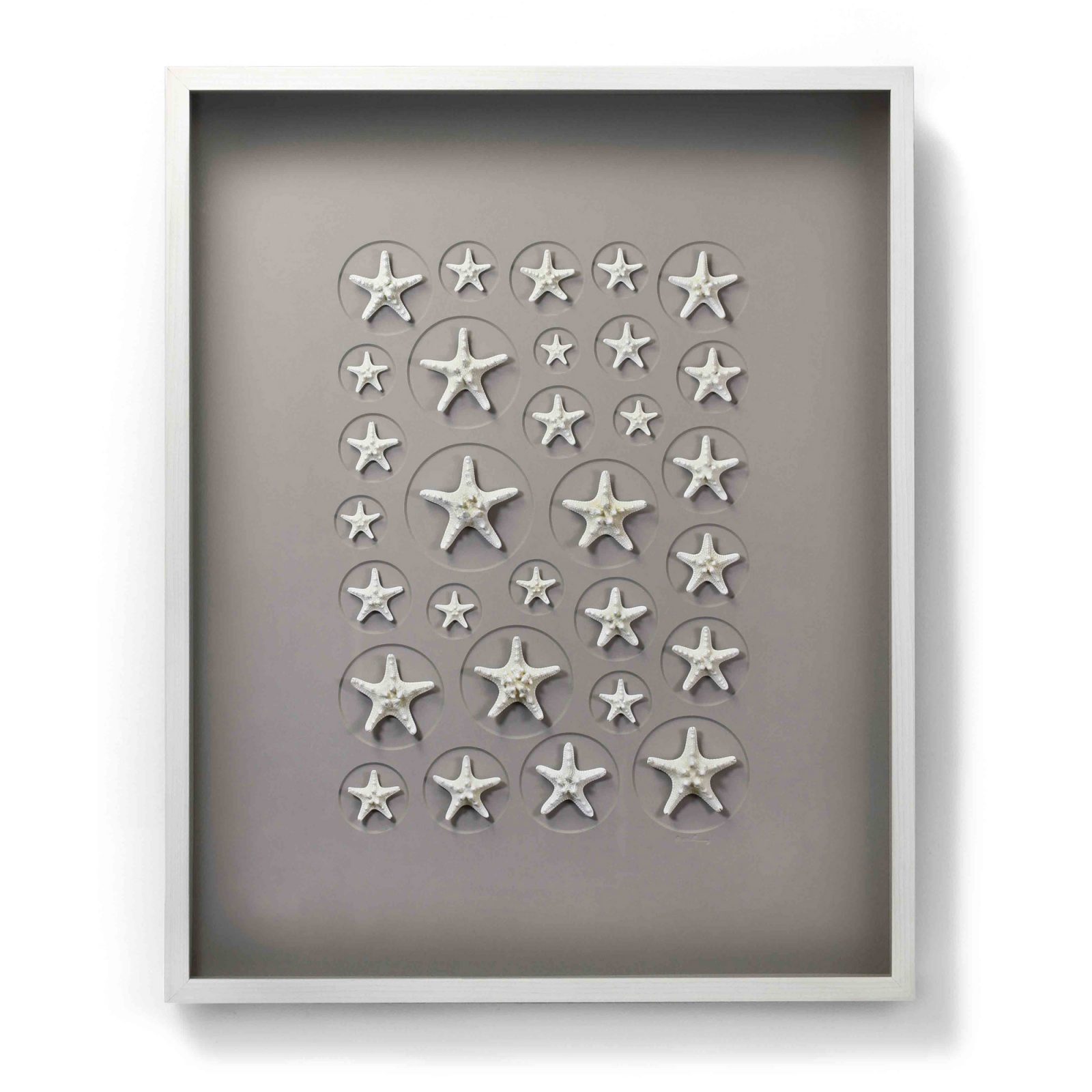 32x40 Achromic Starfish Mosaic