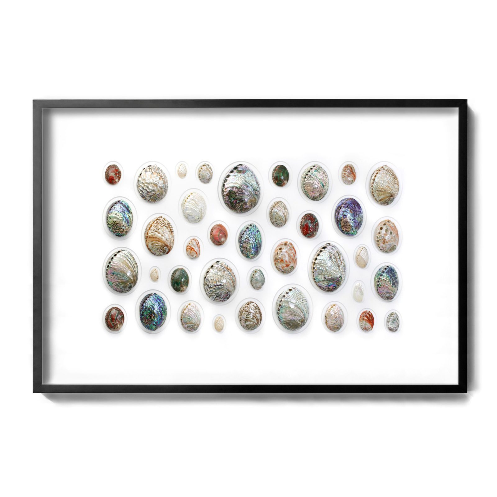 60x40 Abalone Mosaic