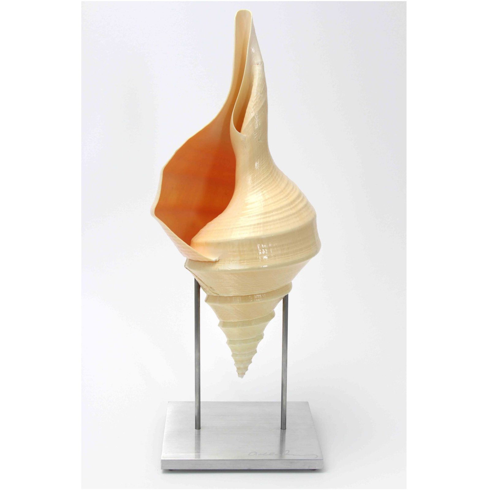 Australian Trumpet Pedestal