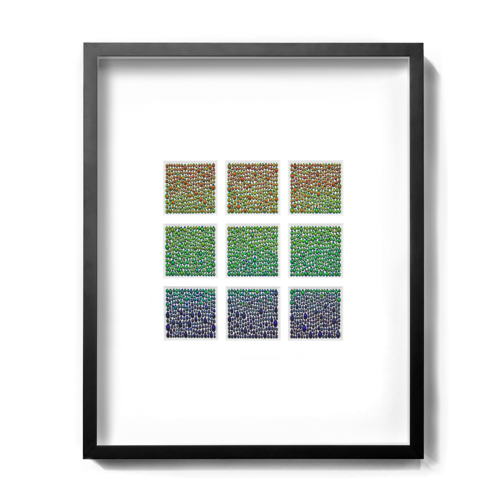 Chrysomelid Arrayal No. 2B - Leaf Beetle Study