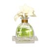 Citrus Lily ML - Large Air Essence Home Fragrance