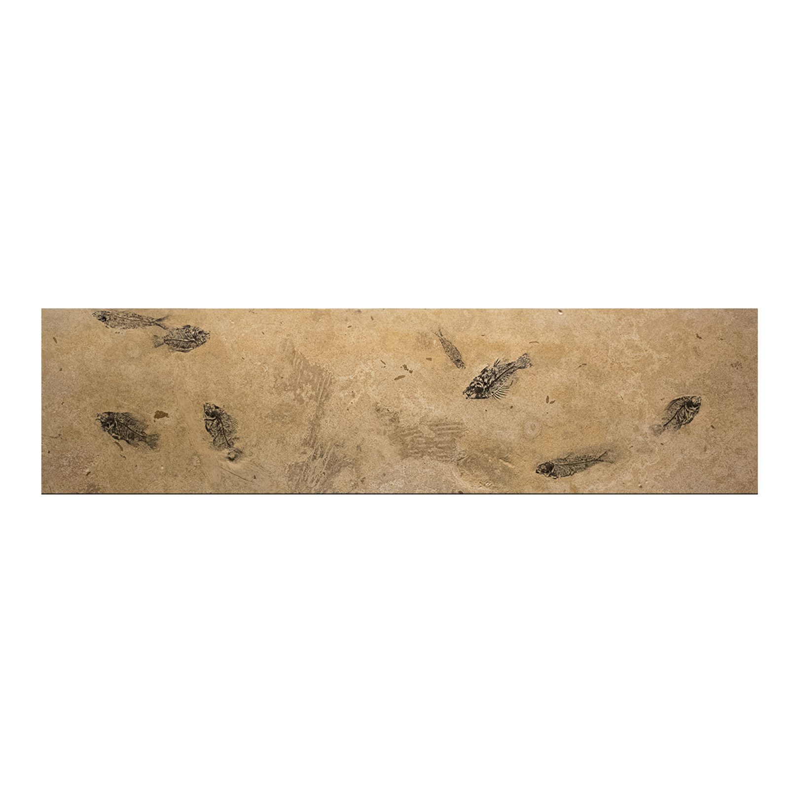 Fossil Console Table 170330329t