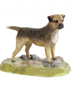 Border Terrier - Royal Stratford Dog