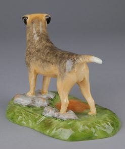 Border Terrier - Royal Stratford Dog